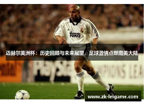 迈赫尔美洲杯：历史回顾与未来展望，足球激情点燃南美大陆