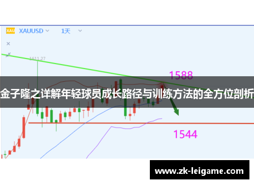 金子隆之详解年轻球员成长路径与训练方法的全方位剖析 金子隆之详解年轻球员成长路径与训练方法的全方位剖析