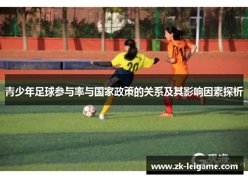 青少年足球参与率与国家政策的关系及其影响因素探析