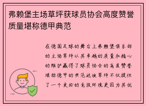 弗赖堡主场草坪获球员协会高度赞誉质量堪称德甲典范